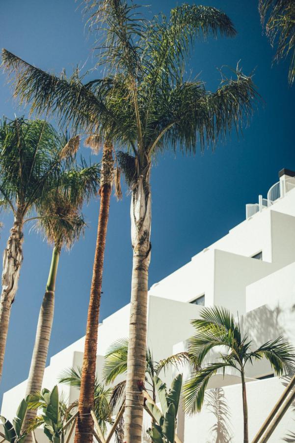 Cala Lanuza Suites El Campello Exterior photo